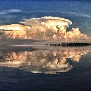 Meet your Posher, Annette